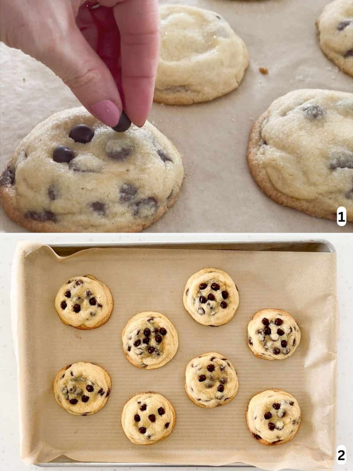 Chocolate Chip Sugar Cookies - Little Nonni