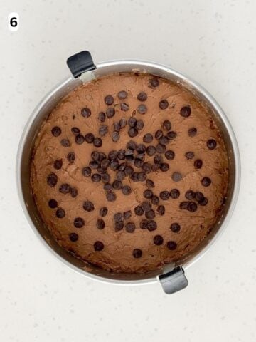 The batter is transferred to a springform pan and topped with chocolate chips.