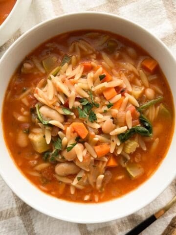 A bowl of vegetable orzo soup.